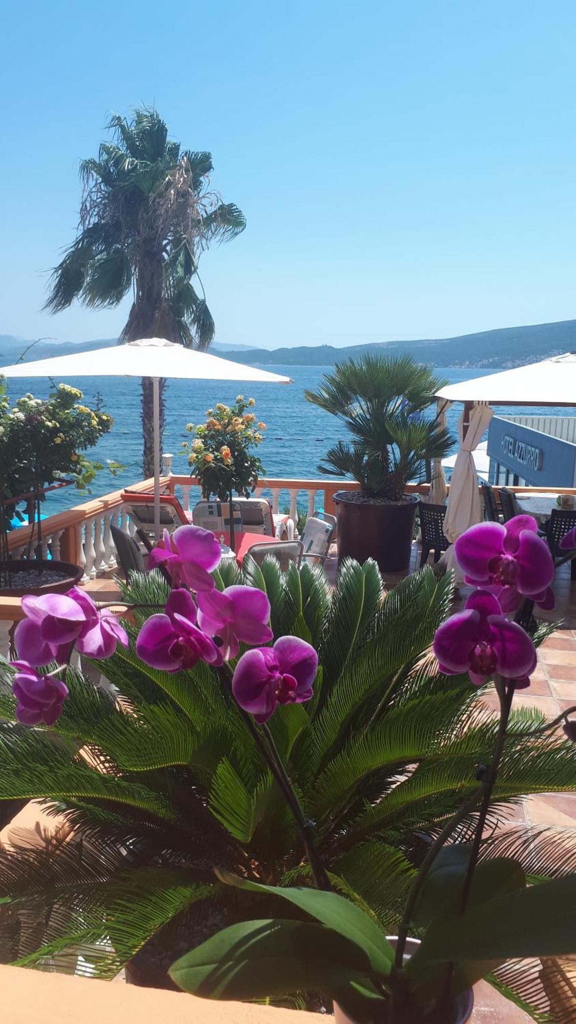 Apartmani Kalinic Bijela Luaran gambar
