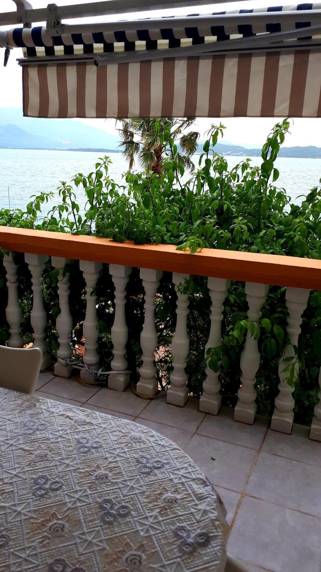 Apartmani Kalinic Bijela Bilik gambar